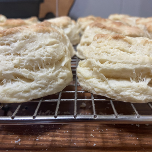 Buttermilk Biscuits