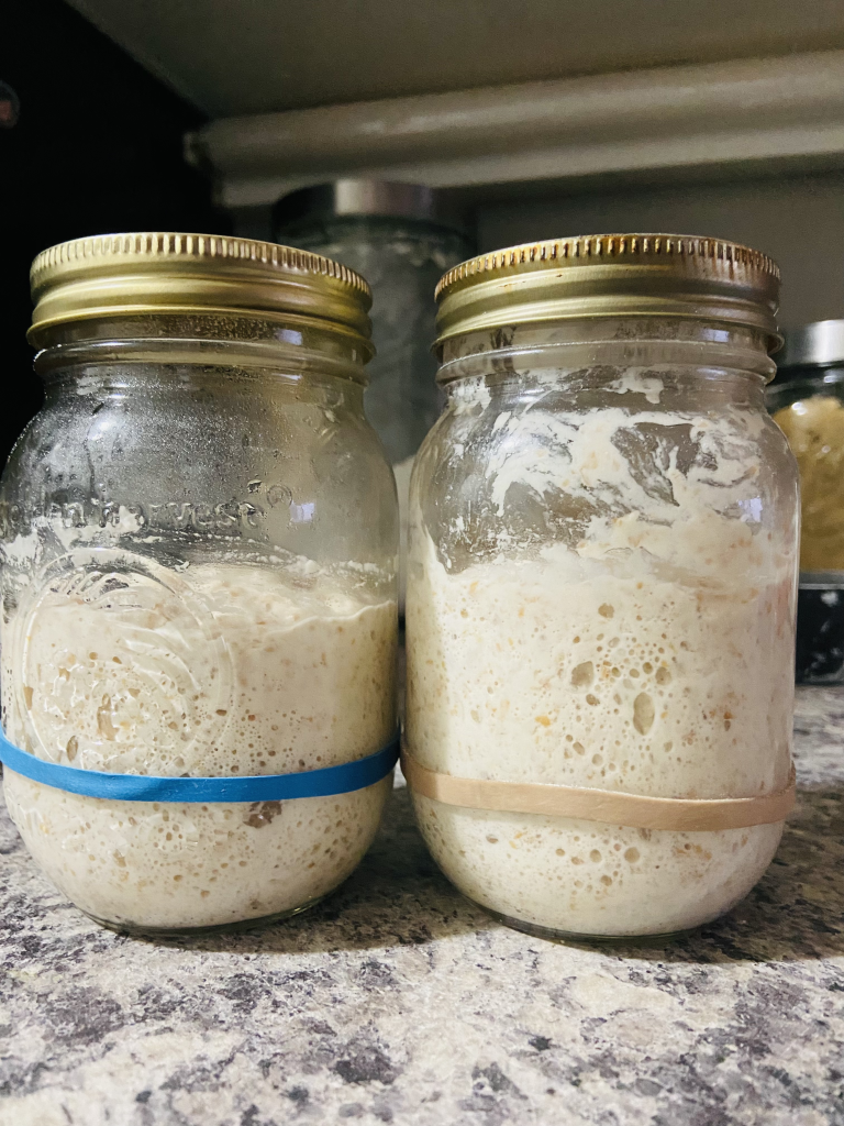 farmers market sourdough, sourdough starter in central alberta, red deer