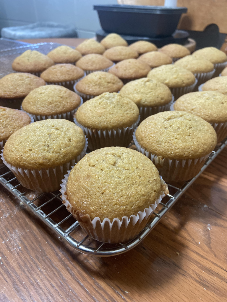 Pumpkin Muffins