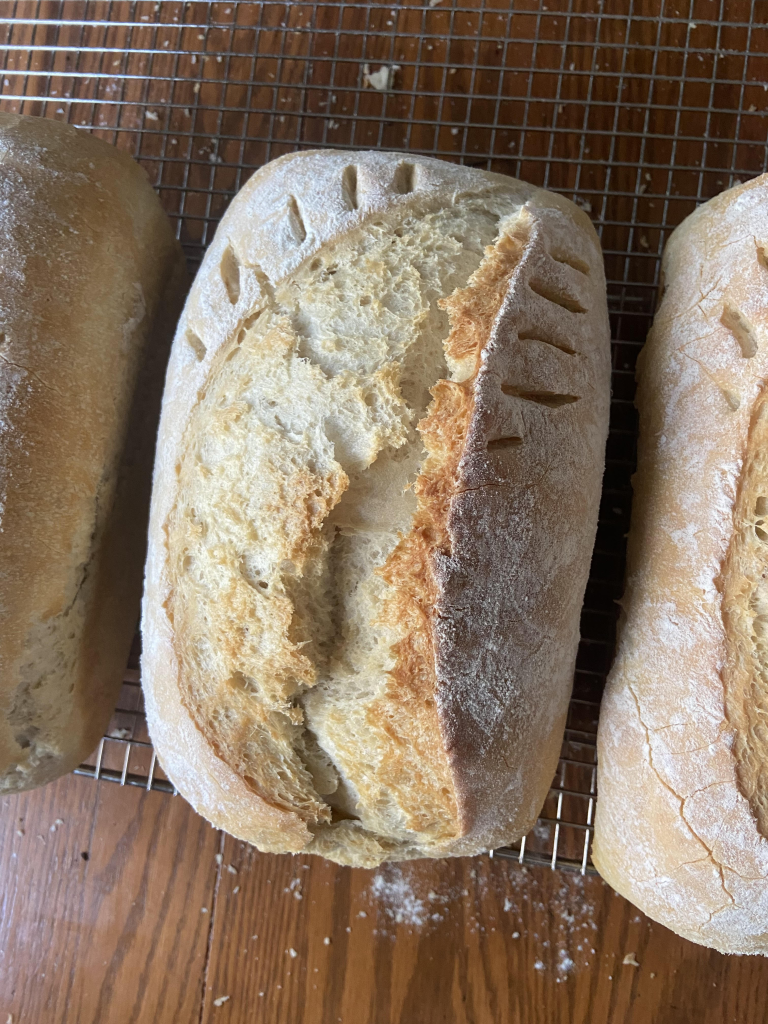 White Sourdough (1)