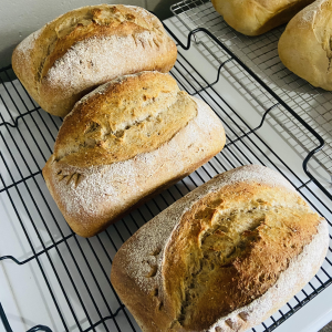 Whole Wheat Sourdough