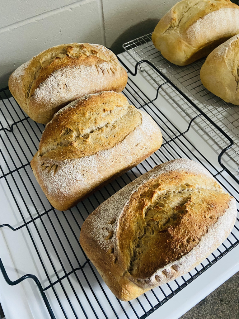 Whole Wheat Sourdough
